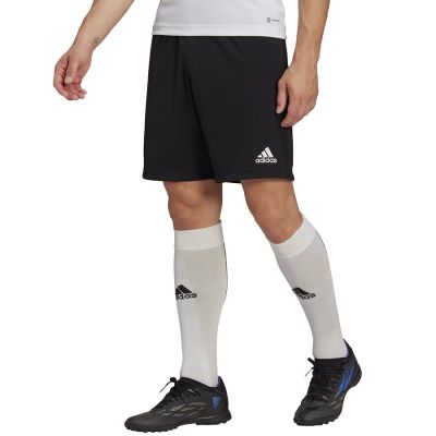 3. Spodenki adidas Entrada 22 Training Short M HB0575
