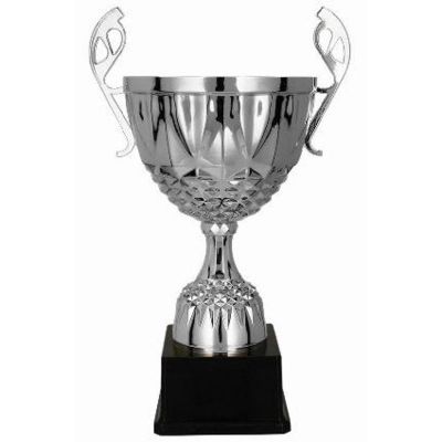 4. Puchar metalowy srebrny MUFAS