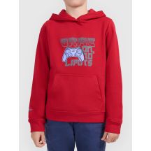 Bluza z kapturem i nadrukiem chłopieca 4F 4FJWAW26TSWSM2690-61S