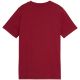2. Koszulka dla dzieci Puma ESS Small No.1 Logo Centered Tee brązowa 692975 23