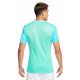 2. Koszulka Nike Dri-FIT Trophy 5 DR0933-354