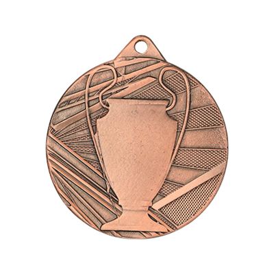 6. Medal brązowy ogólny z pucharkiem