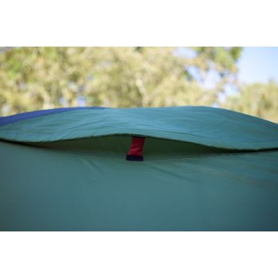 10. Coleman Darwin 4 Plus 4 os. Zielony Namiot kopułowy / Igloo