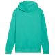 3. Bluza męska Puma ESS No.1 Logo Centered Hoodie zielona 692914 40