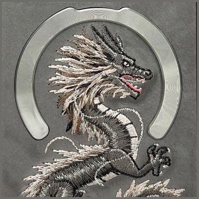 8. Etui Nimmy Dragon MagSafe na iPhone 16 Pro - szare
