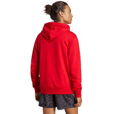3. Bluza adidas Essentials French Terry Big Logo Hoodie M IC9365