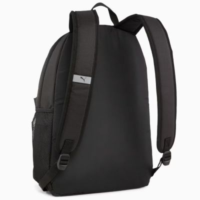 2. Pleack Puma Phase 091164-03