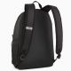 2. Pleack Puma Phase 091164-03