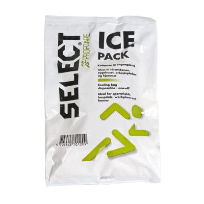 2. Lód Chłodzący Select Ice Pack 0755