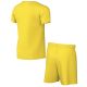 2. Komplet sportowy dla dzieci Nike DRY Park Kit Set żółty CD2244 719