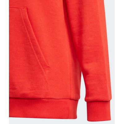 3. Bluza adidas Essentials Big Logo Hoodie Jr GN4037