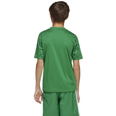 4. Koszulka adidas Team Icon 25 JSY Jr JJ1956