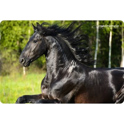 10. Podkładka pod mysz Esperanza Foto Mix EA133