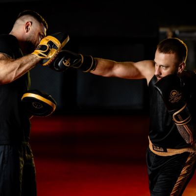 17. Rękawice bokserskie wielowarstwowe - ProFighter Gold - Legacy Series