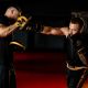 17. Rękawice bokserskie wielowarstwowe - ProFighter Gold - Legacy Series