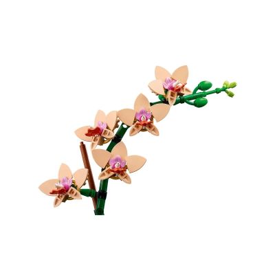 5. LEGO Botanical Collection 10343 - Mała orchidea