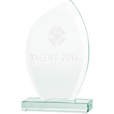 6. Trofeum szklane grawerowane 3D z etui
