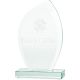 6. Trofeum szklane grawerowane 3D z etui