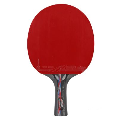 3. Rakietka do p-ponga Aurora PRO 3* SG 3002