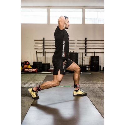 6. Komplet Uchwytów do Gum Treningowych - ARW-753 DBX BUSHIDO