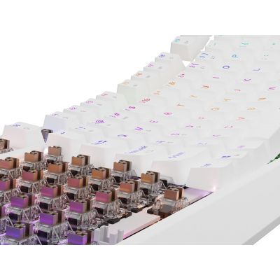 16. GENESIS Thor 230 TKL klawiatura USB + RF QWERTY