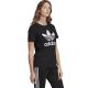 3. Koszulka adidas Trefoil Tee W FM3311
