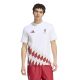 2. Koszulka z grafiką adidas Liverpool FC KG2891