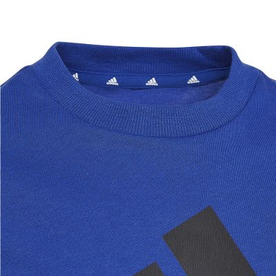 3. Koszulka adidas Big Logo Tee Jr HP0840