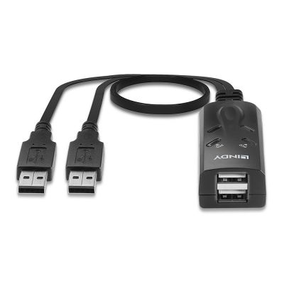 4. NET SWITCH KVM USB 2PORT/32165 LINDY
