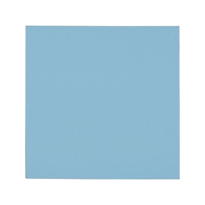Termopad Thermal Grizzly Minus Pad Pro 100 x 100 x 2,0 mm