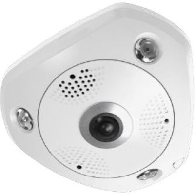 2. Kamera kopułkowa typu rybie oko LevelOne IPCam 12MP/H.265/IR/ 12W/PoE/IP67