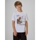 T-shirt regular z nadrukiem chłopięcy 4F 4FJKAW26TTSHM4452-10S