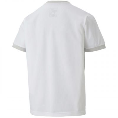 3. Koszulka Puma teamGOAL 23 Jersey Jr 704160 04