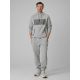 3. Bluza dresowa regular z kapturem męska 4F 4FRSS26TSWSM2975-20S