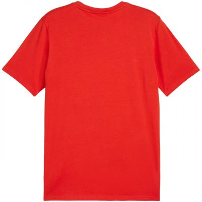 2. Koszulka Puma Team Goal Casuals Tee M 658615 01