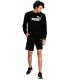 5. Bluza Puma ESS Big Logo Crew M 586680 01