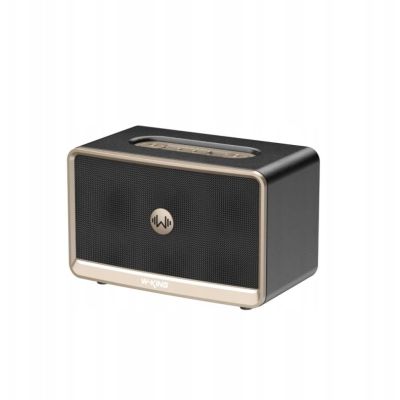 Głośnik bezprzewodowy Bluetooth W-KING H330 czarny