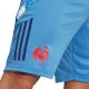 5. Spodenki męskie adidas France Gym niebieskie JC7182