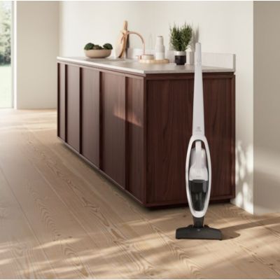 7. Odkurzacz ELECTROLUX ES31CB18SH