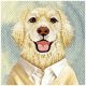 6. Etui Nimmy Gentle Pets Series Dog MagSafe na iPhone 17 Pro - brązowe