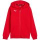 Bluza dla dzieci Puma teamGoal Casuals Hooded czerwona 658596 01