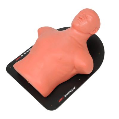 5. Tarcza ścienna w kształcie żelowego torsu człowieka TLS-W