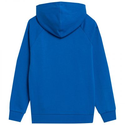 4. Bluza 4F Jr 4FJSS23TSWSM220 36S