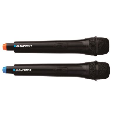 9. PartyBox Blaupunkt PB06DB (Bluetooth i karaoke)