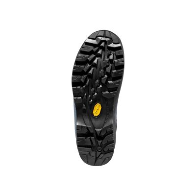 5. La Sportiva TRANGO TRK Woman Leather GTX ZFMS111B18B21 Opal/Pacific Blue