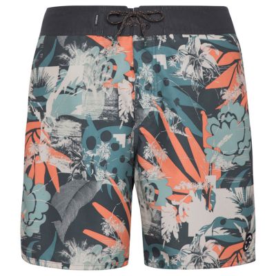 2. Spodenki męskie Protest PRTARYF beachshort (P2710621/672)