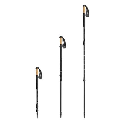 4. Kije trekkingowe Spokey Zodiac 105-135 cm trzysegmentowe SPK-944817
