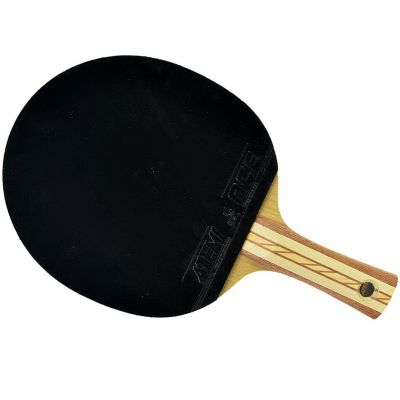 2. Rakietka do tenisa stołowego Atemi 4000 Balsa Concave  17204