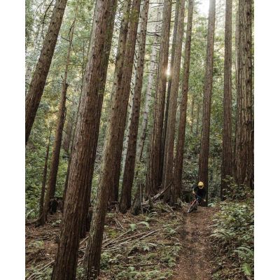 12. Ochraniacz klatki piersiowej i pleców POC VPD