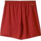 2. Spodenki piłkarskie adidas PARMA 16 SHORT M AJ5881